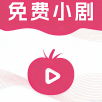 小狐狸片库永久免费版